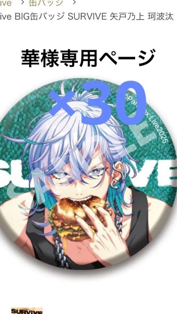 パラライ 矢戸乃上珂波汰 缶バッジ30点