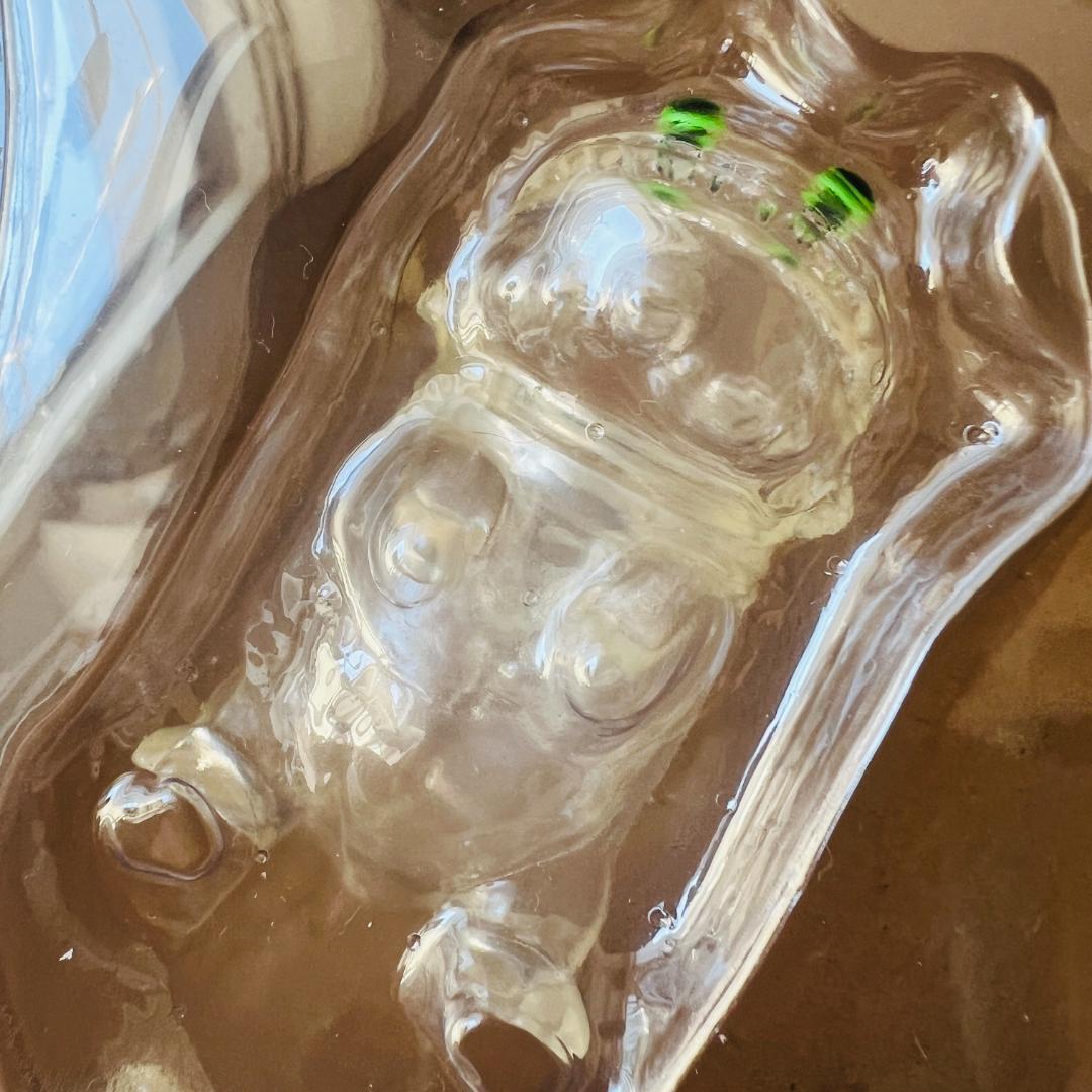 カイジュウハンティング shoko nakazawa デハラユキノリ uamou