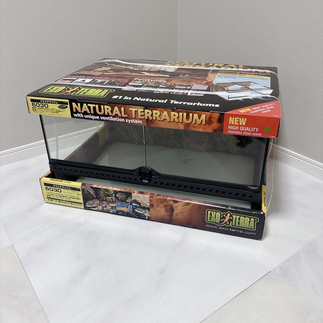 爬虫類　ケージ　ＧＥＸ　エキゾテラ　グラステラリウム　６０３０