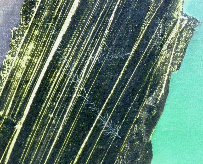 桐弘史郎 ◆ 油彩画 ◆ 裸婦 ◆ F10 ◆ 直筆サイン