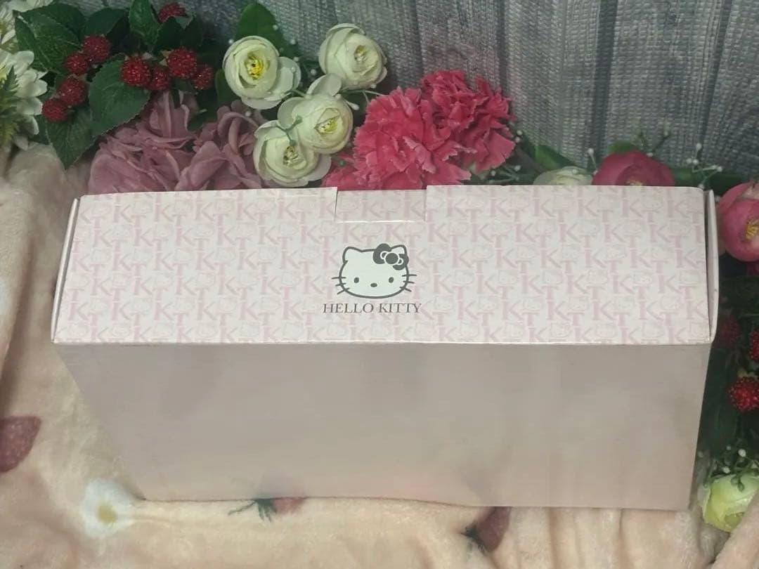 ハローキティ☆IONNEAT☆イオニート☆マイナスイオンドライヤー☆自宅保管品