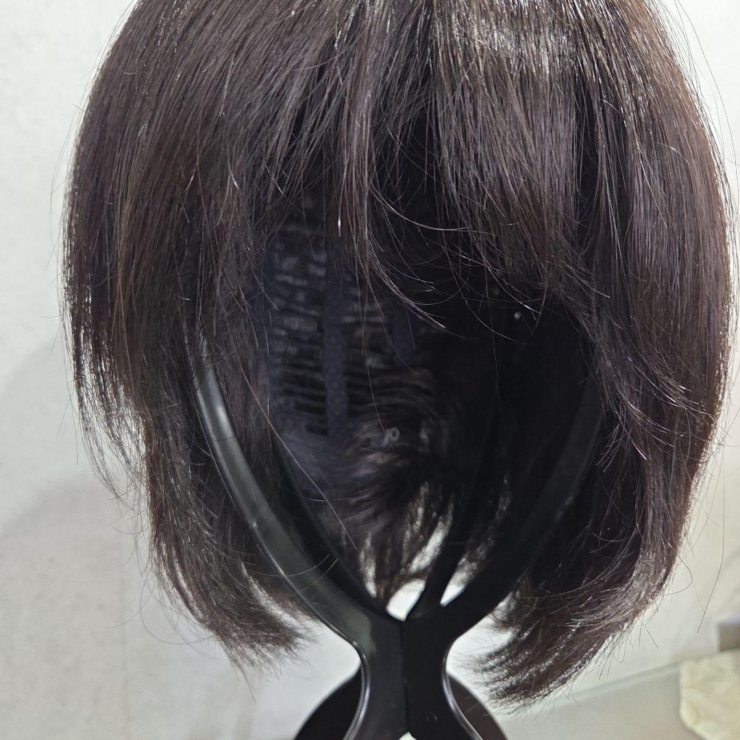 アートネイチャー　 ジュリア・オージェ レイヤーボブフルウィッグ