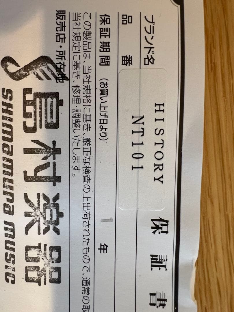 HISTORY アコースティックギター　NT101