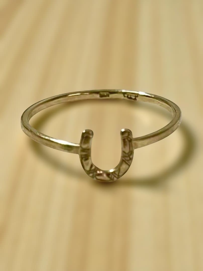 hirondelle イロンデール K18 ホースシュー リング