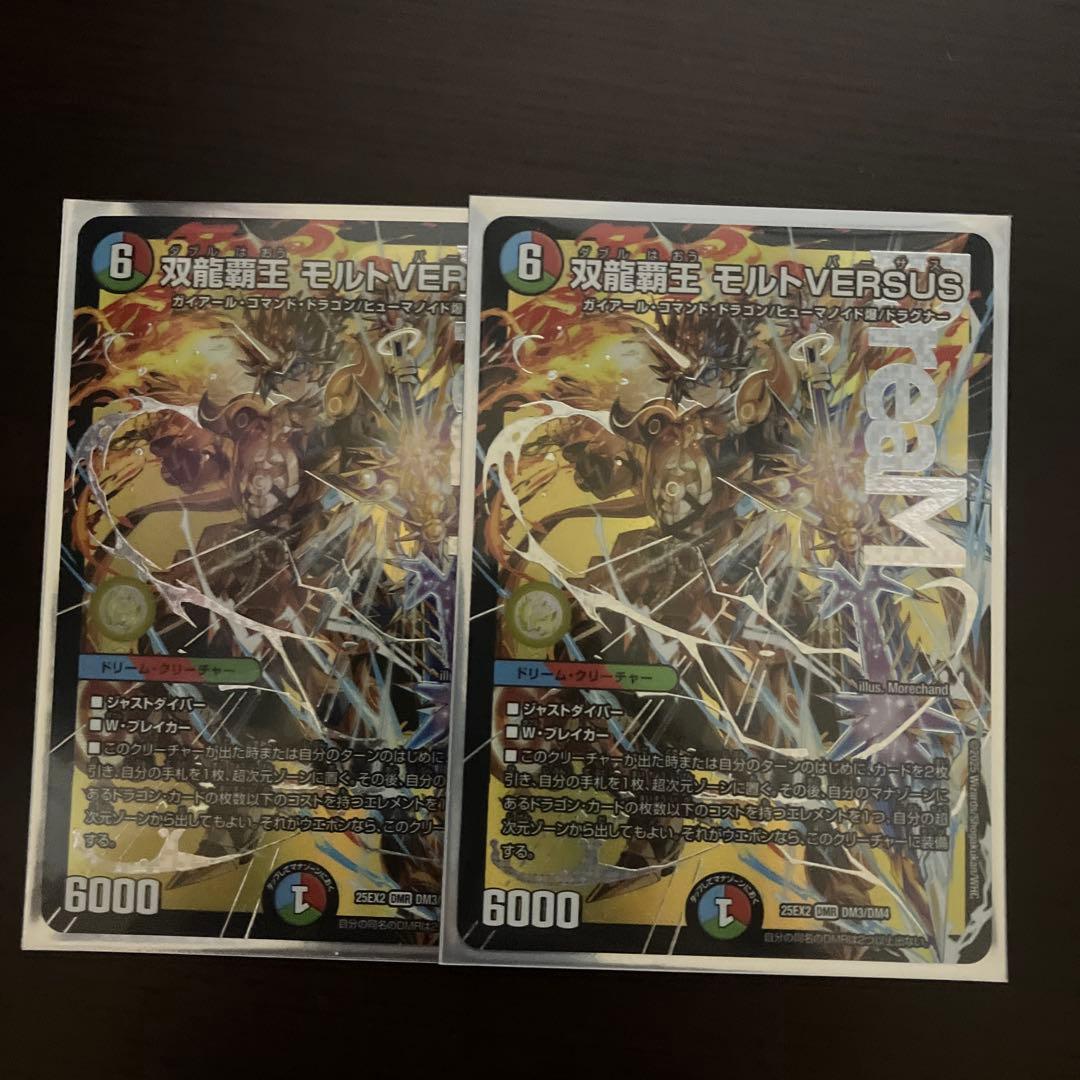 モルトバーサス　2枚