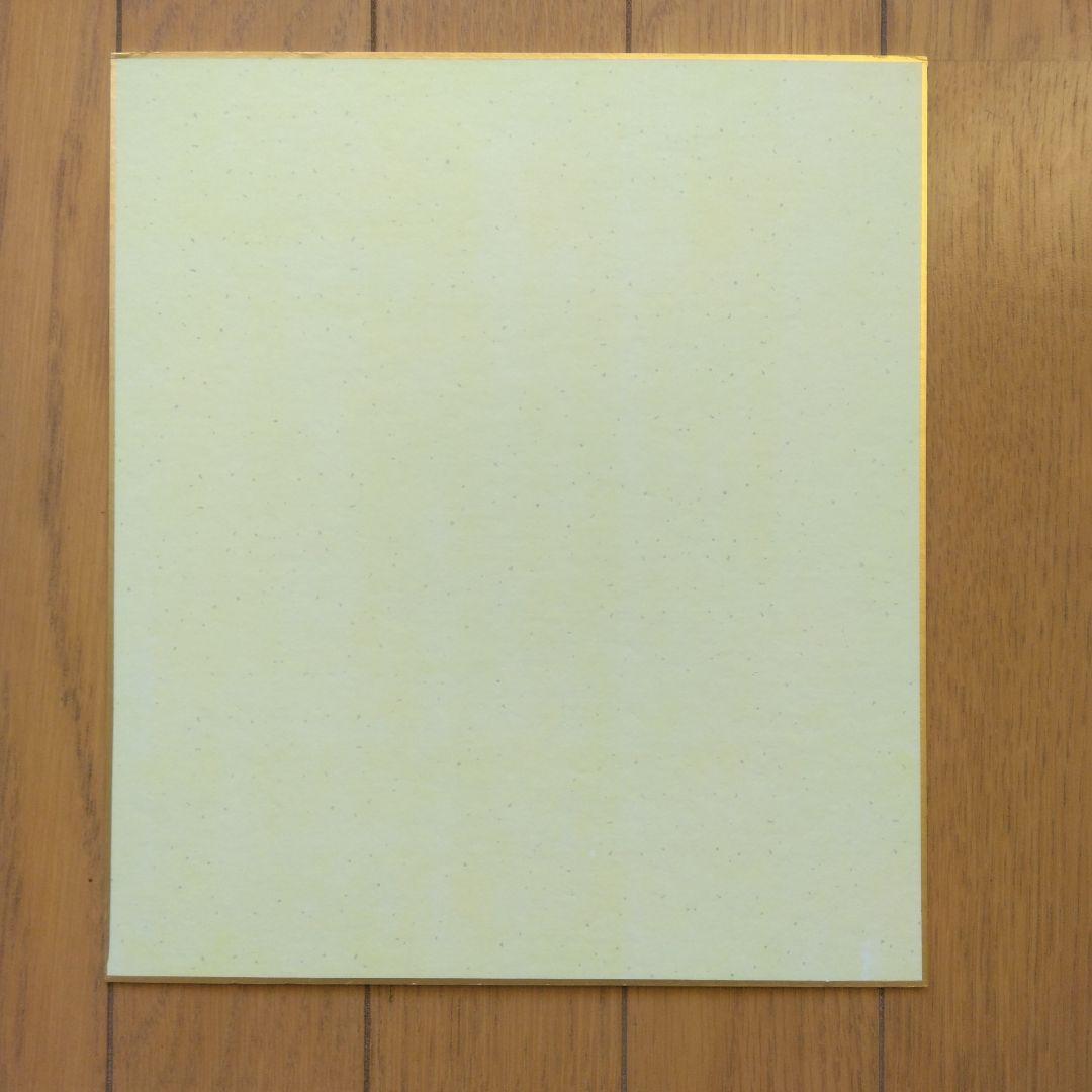 仮面ライダー:ライダーガールズ山本リンダさん中田喜子さん直筆サイン色紙2枚セット