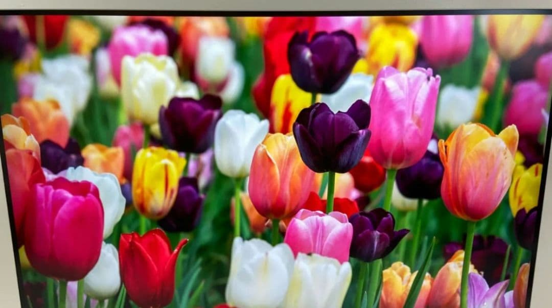 JAPANNEXT 38インチ 4Kモニター JN-38i160U-H-C9