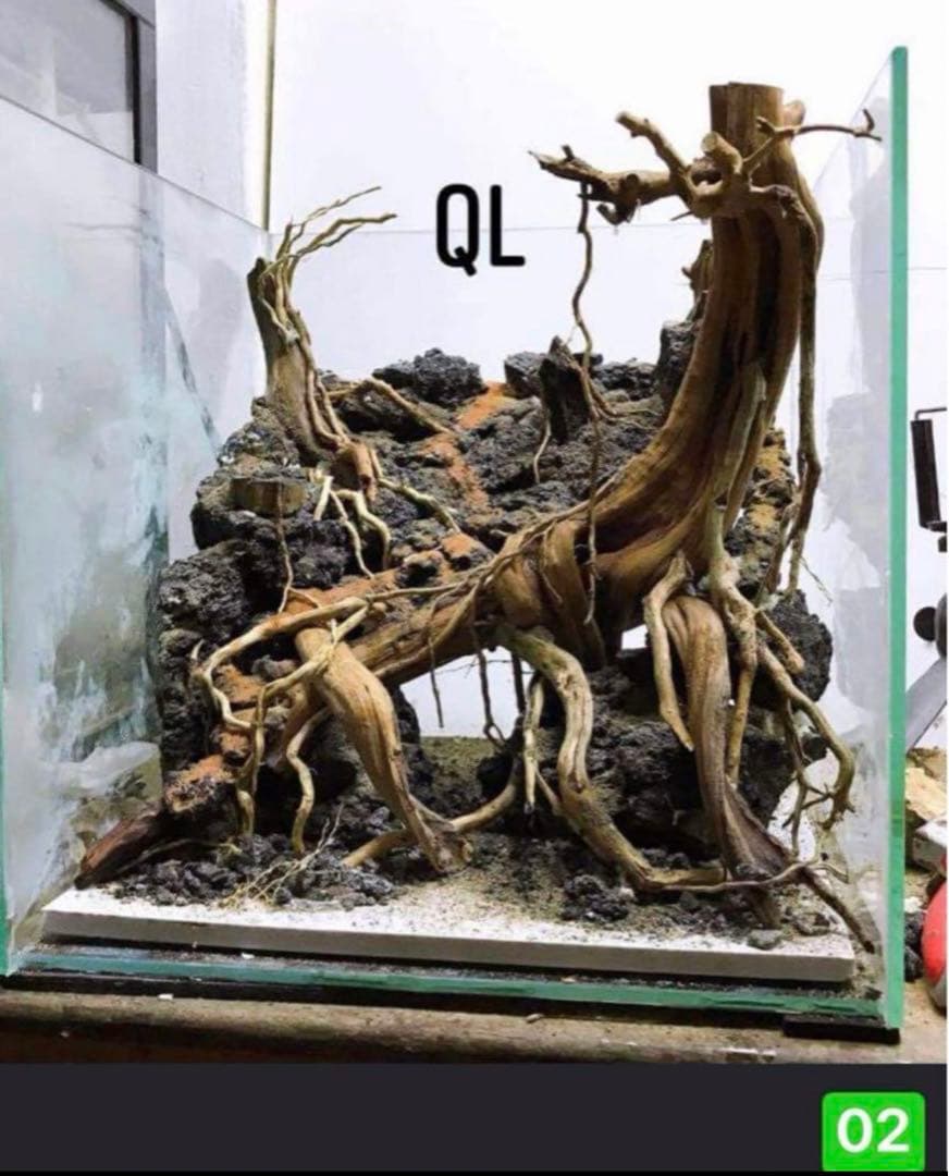 TTD 02334 【⭐︎ プリけつ様⭐︎】【美品・数量限定】