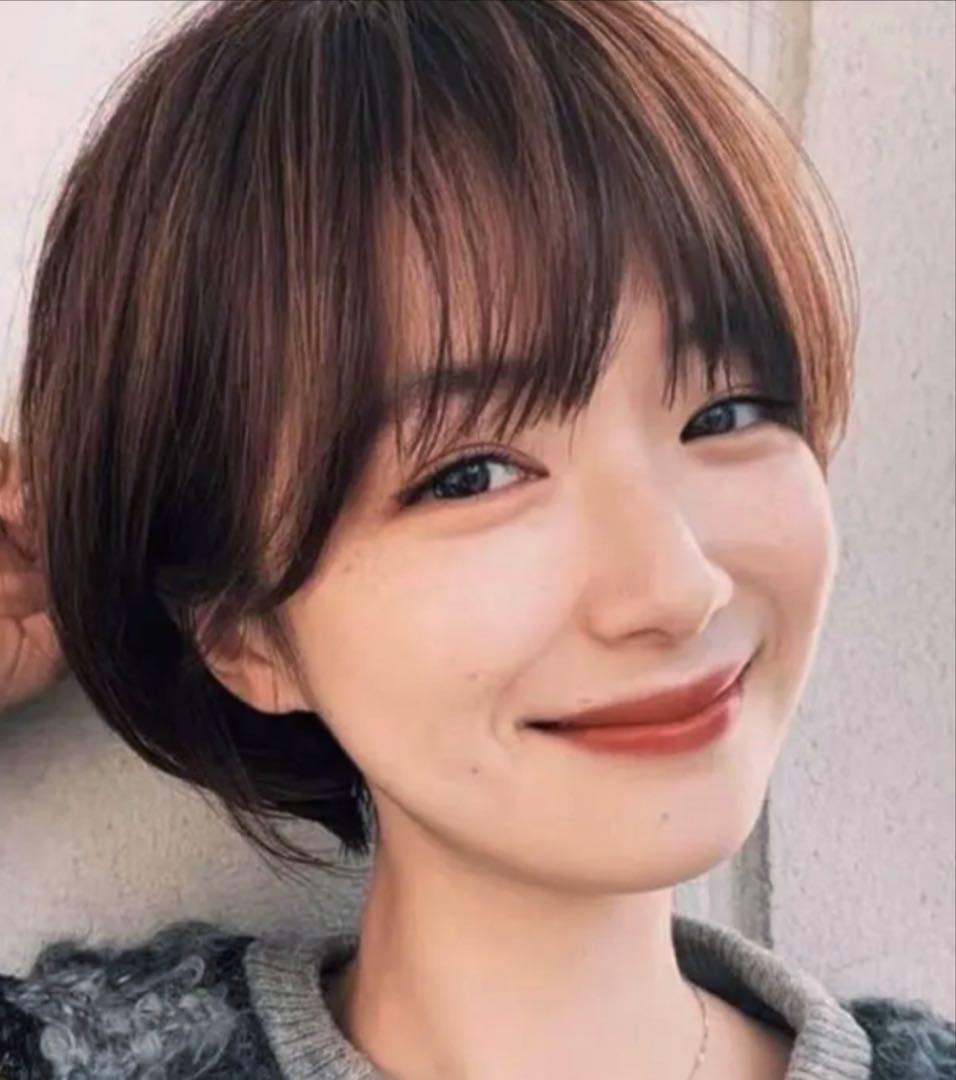 ☆気品人毛100% ショートwig ウィッグBZ20