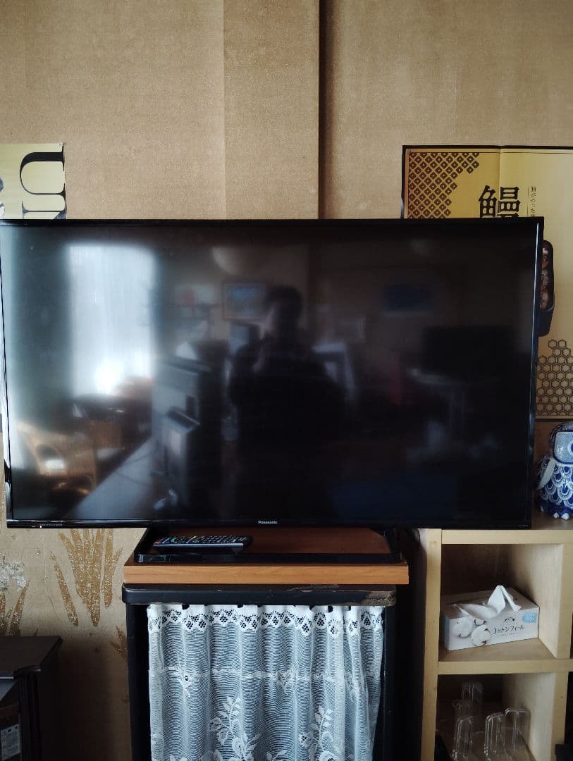 Panasonic TH-49DX600 液晶テレビ 49インチ
