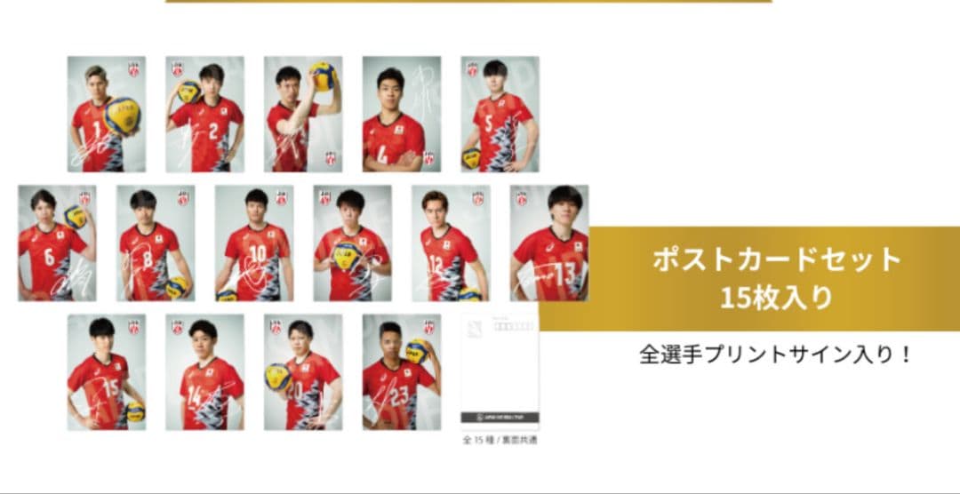 【値下げしました】バレーボール ポストカードセット 15枚入り