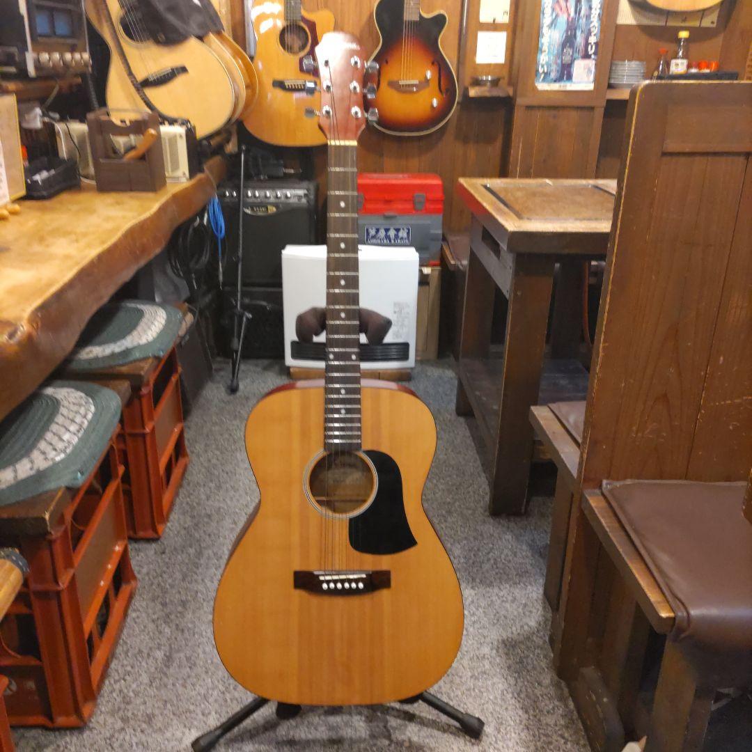 ジャパンヴィンテージ ariana by ARIA エレアコ FG-12