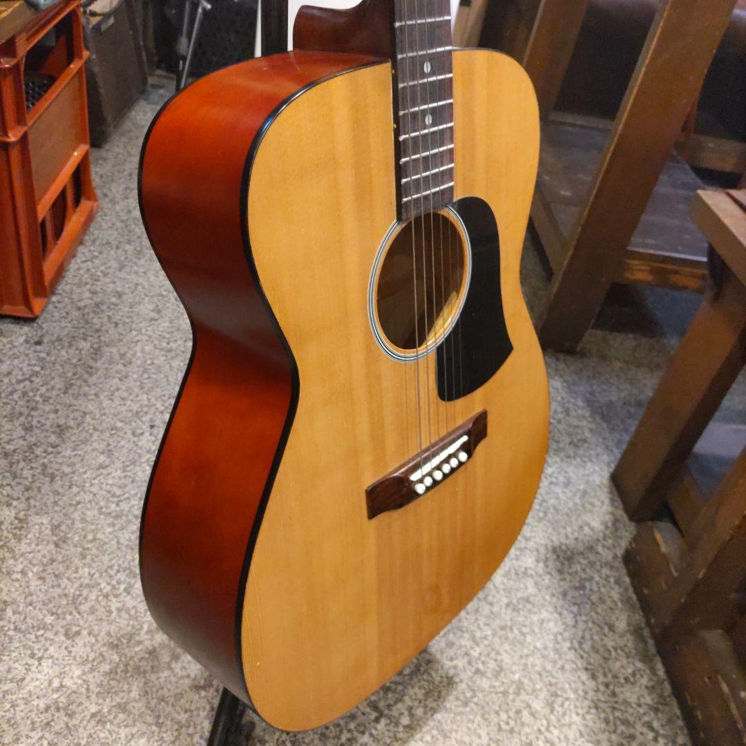 ジャパンヴィンテージ ariana by ARIA エレアコ FG-12