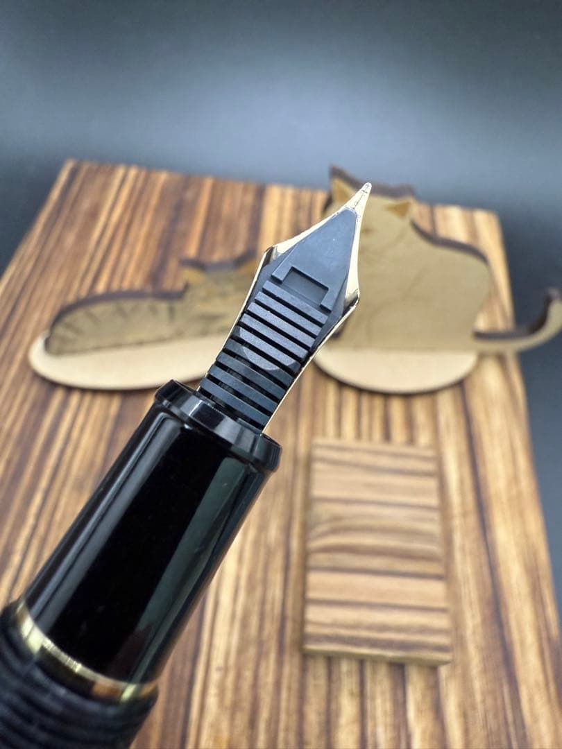 PLATINUM 万年筆 センチュリー 黒 14K M