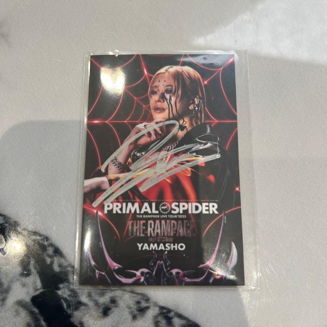 ランペ　タイ　山本彰吾