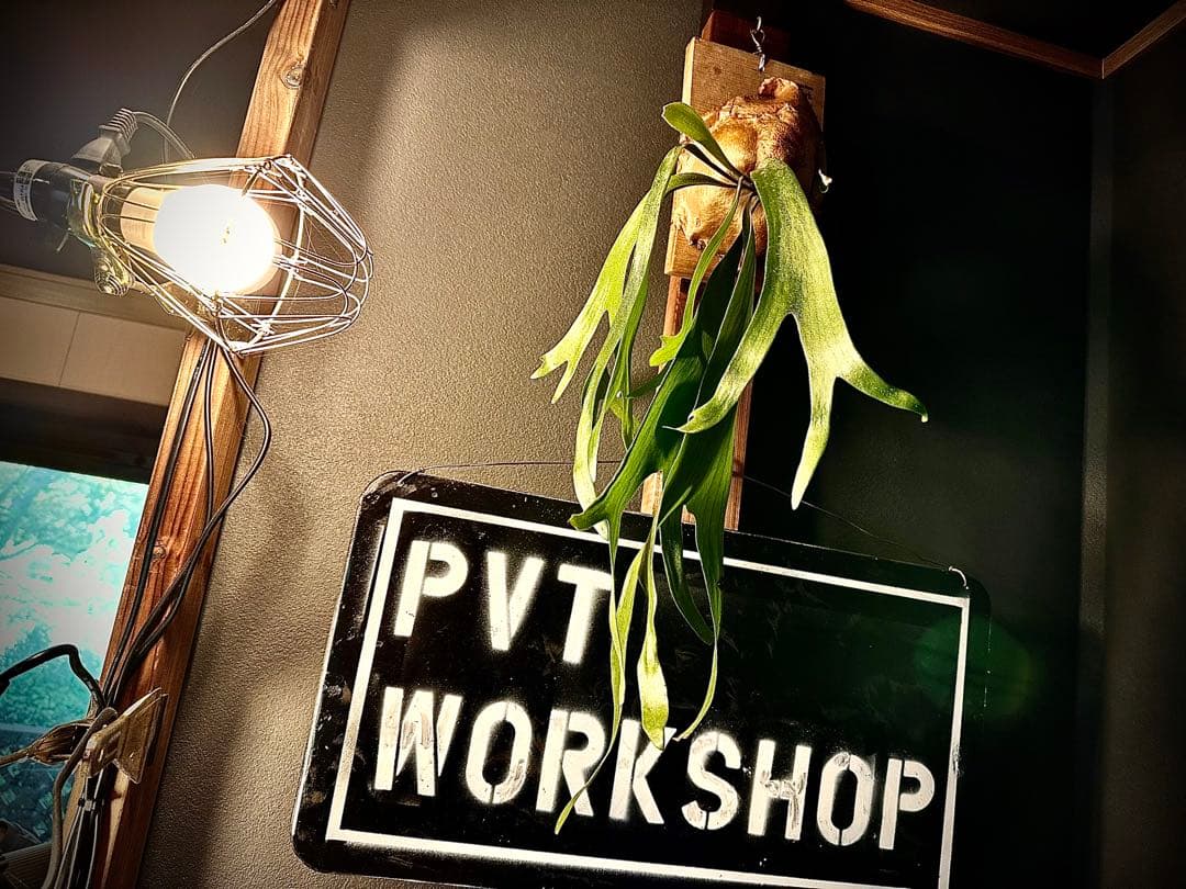 月末SALE！Pvt.Workshop 極　本革　デッキケース　ハーフプレマ