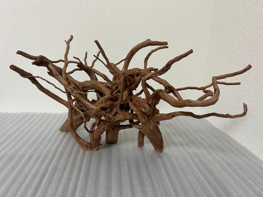 32701 ブランチウッド　流木　アクアリウム