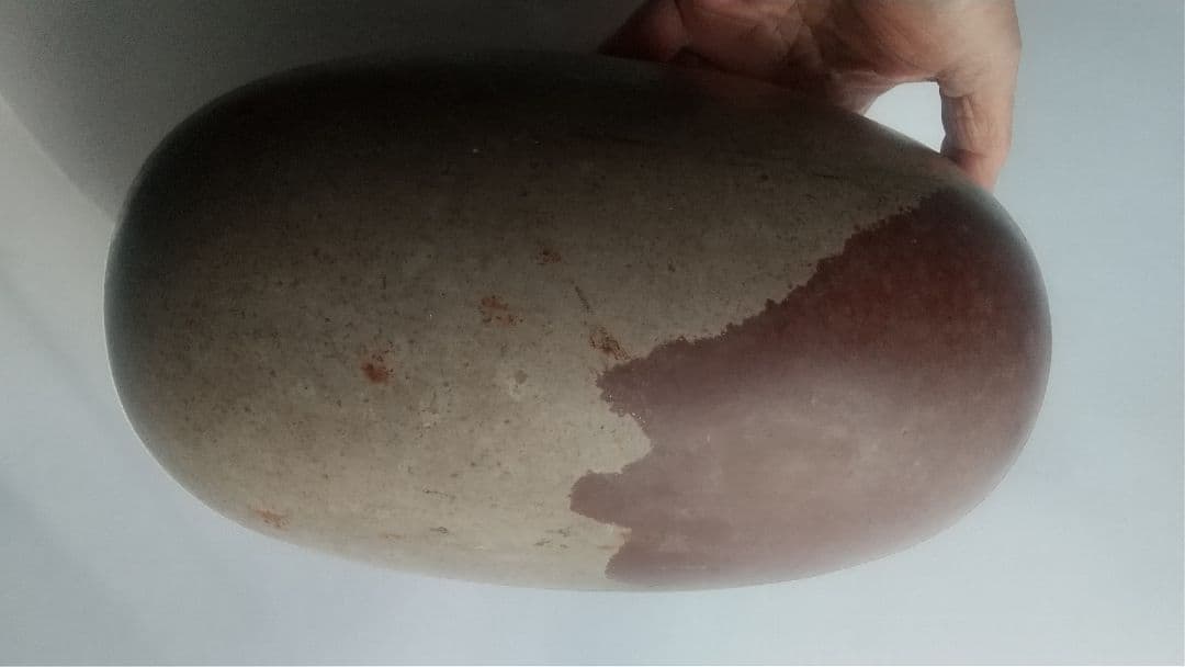 特大 希少価値‼️シバリンガム