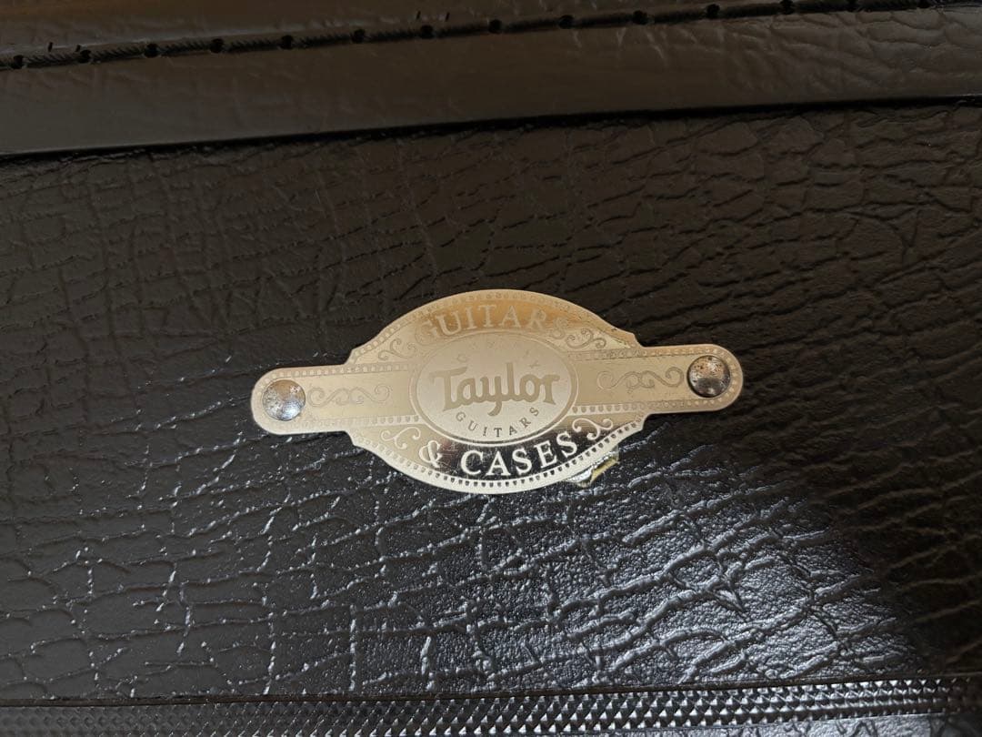 Taylor 312ce テイラー