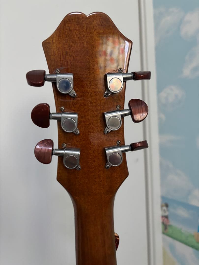 Epiphone アコースティックギター バック付き dr-100vs