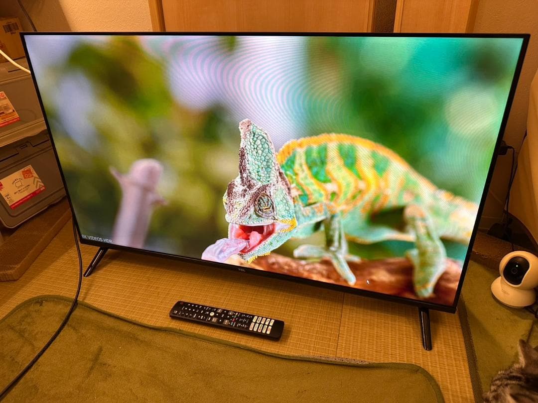 24年製未使用近！TCL 40S5400 スマートテレビ　40型　アプリ内蔵式