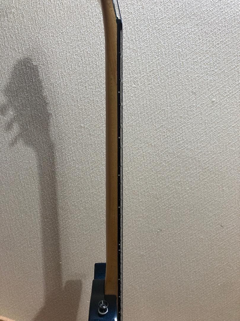 Fernandes Burny LS-55S　レスポールタイプ