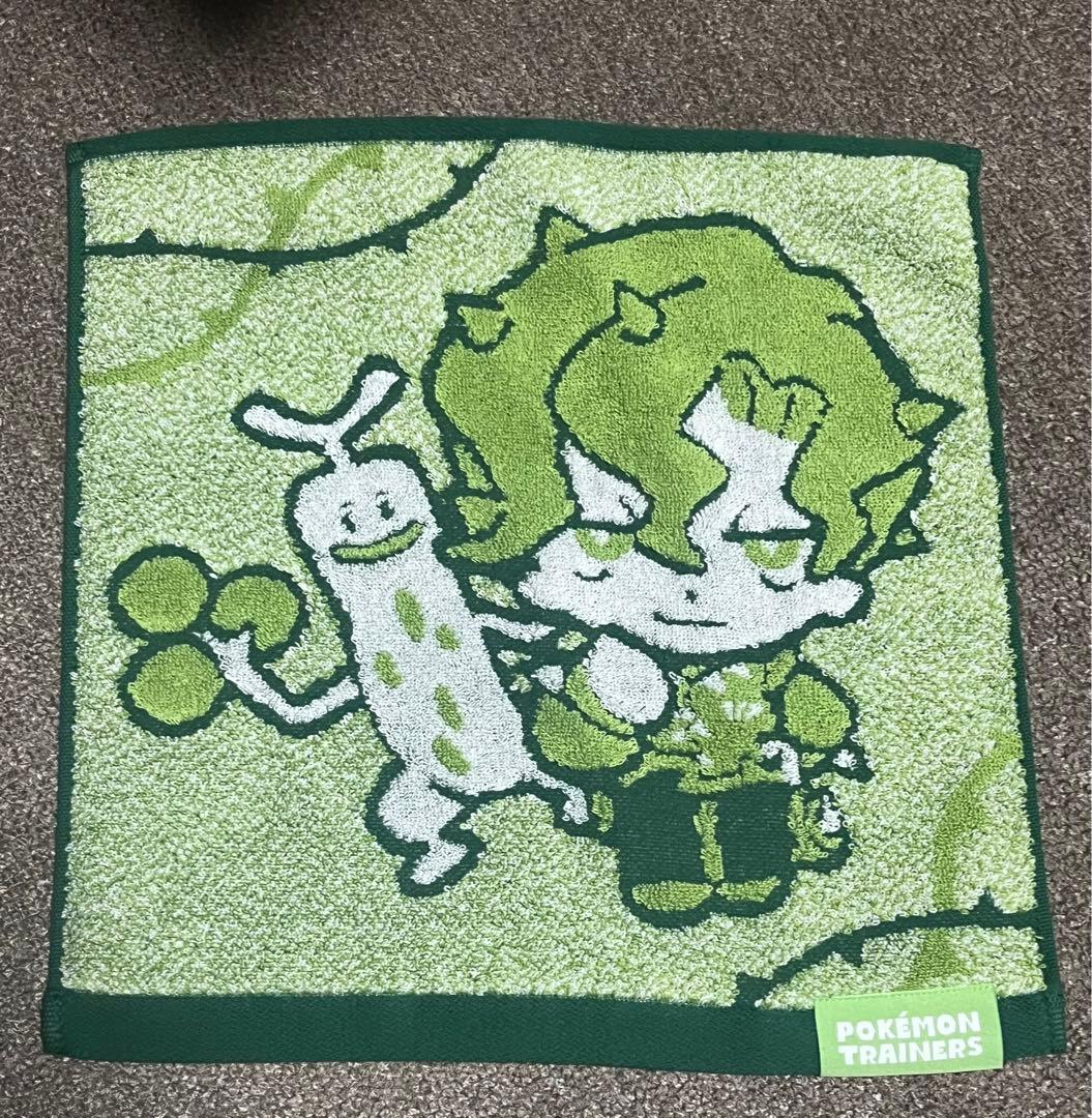 ピカピカボックス 2026 コイキング バッグ オス 抜き取りなし