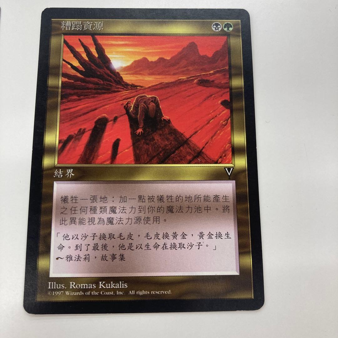 Mtg 資源の浪費 中国語 繁体字 2枚セット バラ売り可能