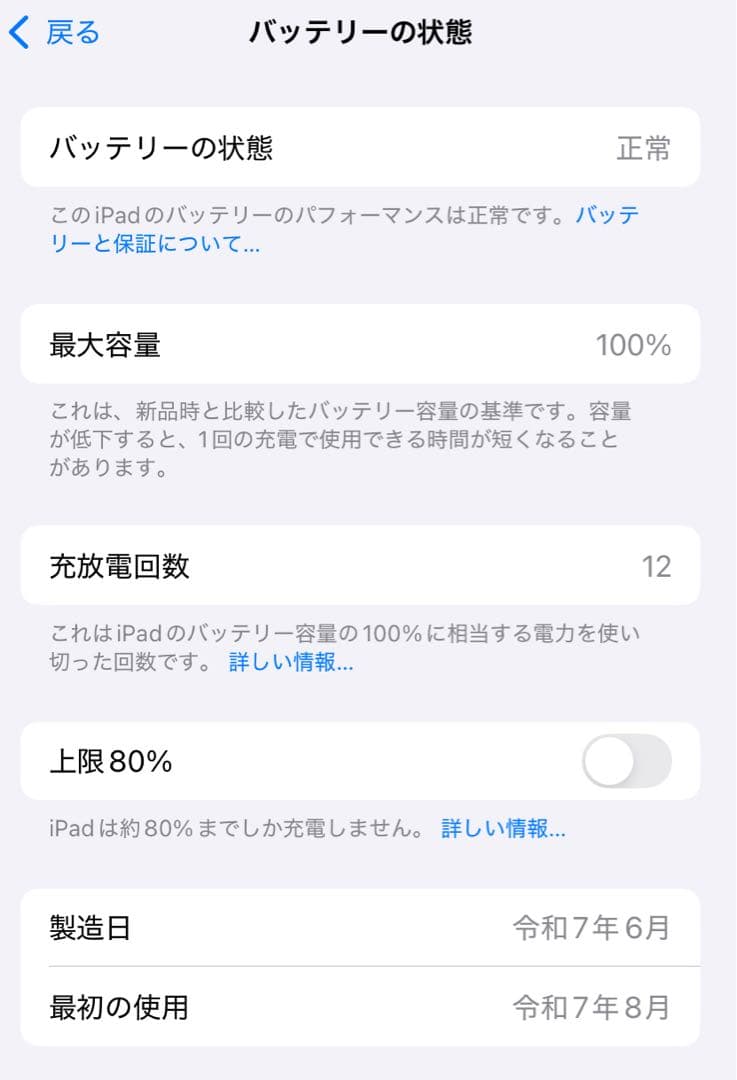 iPad mini A17pro 本体 パープル