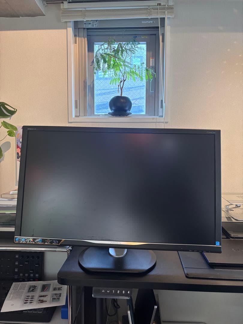 PHILIPS モニター 31.5型 QHD 328P6AUBREB/11