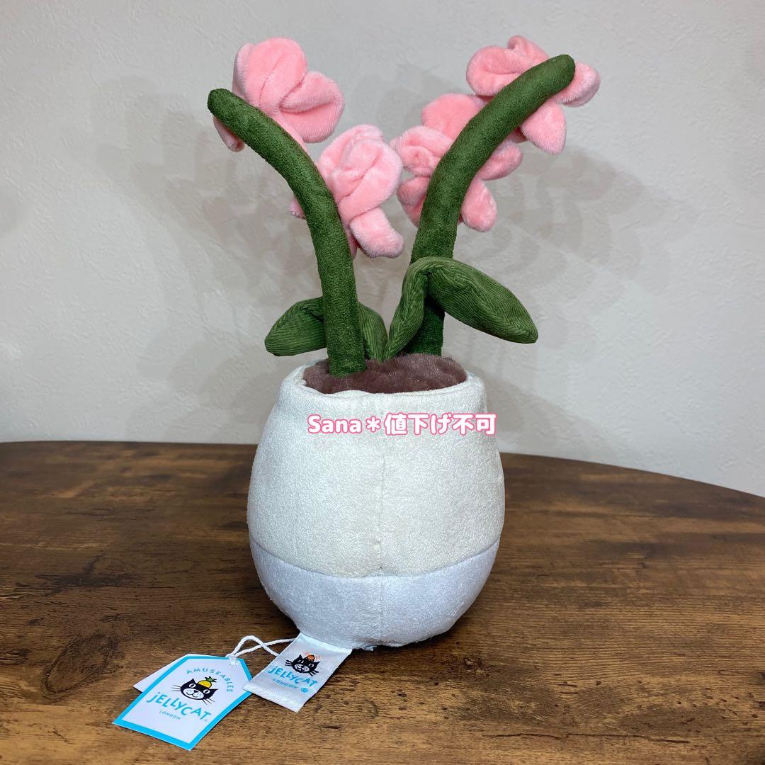 新品　ジェリーキャット　花　蘭　胡蝶蘭　ラン　観葉植物　ぬいぐるみ