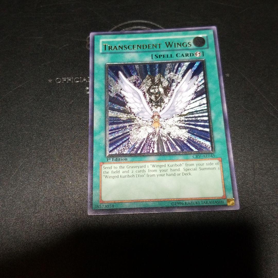 遊戯王 進化する翼レリーフ１枚完美品レベル