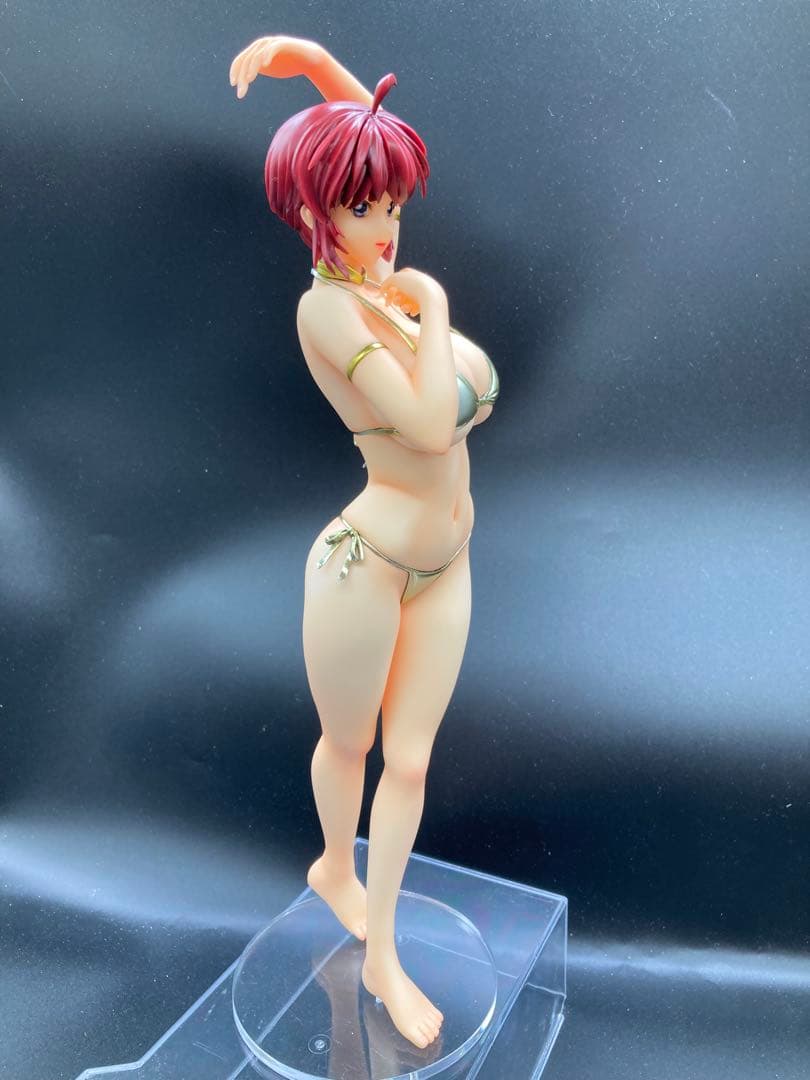 ルナマリアホーク ガレージキット 1/5 塗装済み完成品 ガンダムSEED