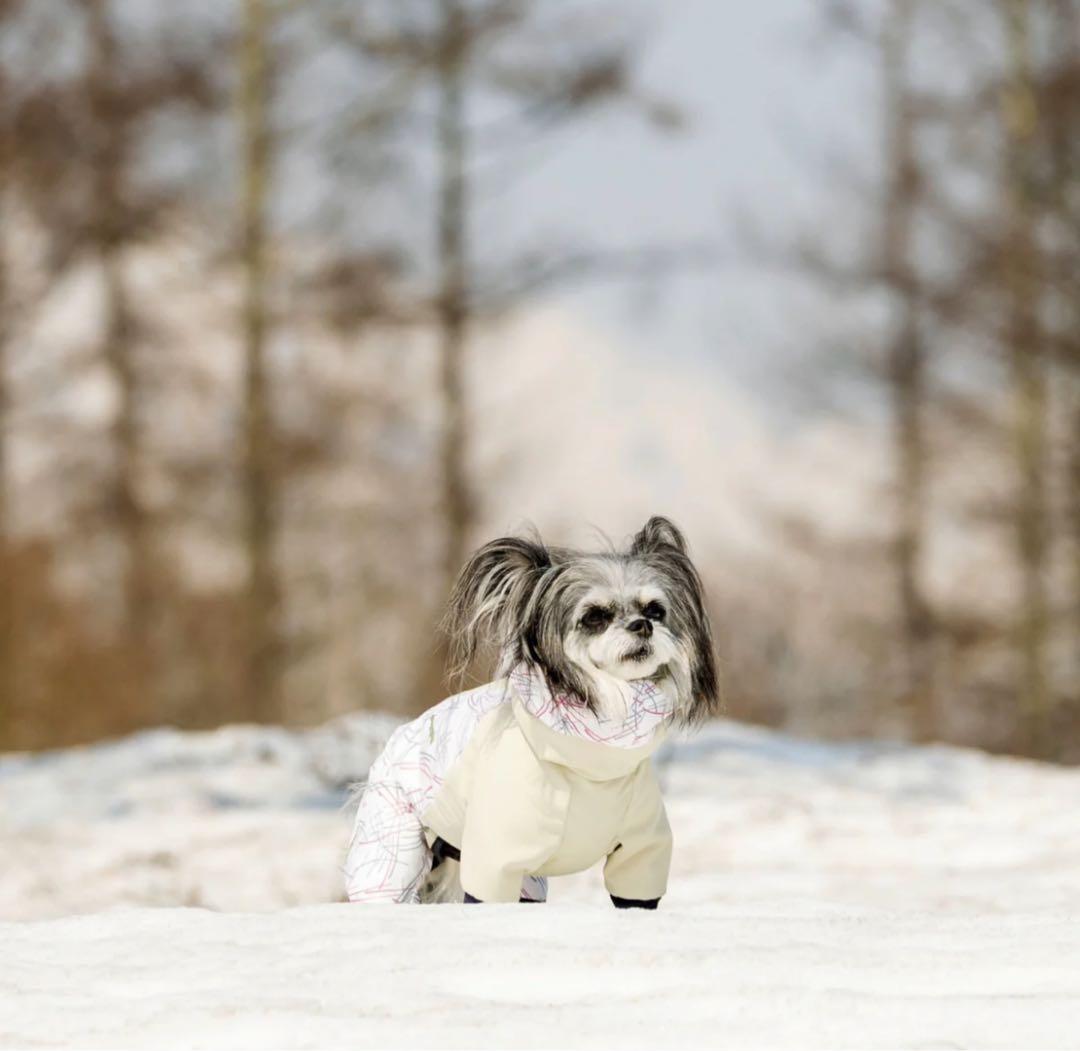 ALPHAICON DOG GUARD AIR　ドッグガード・エア サイズ LL