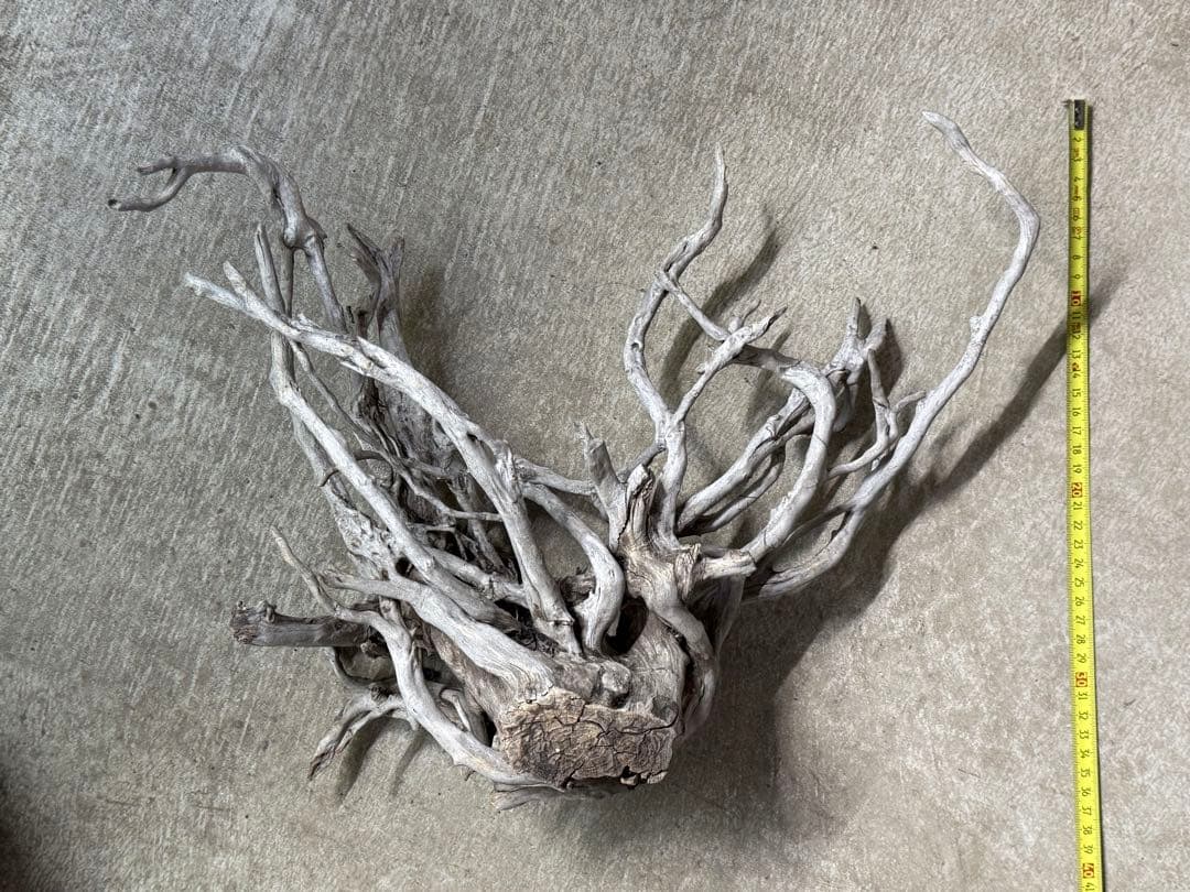 ADA ブランチウッド 白