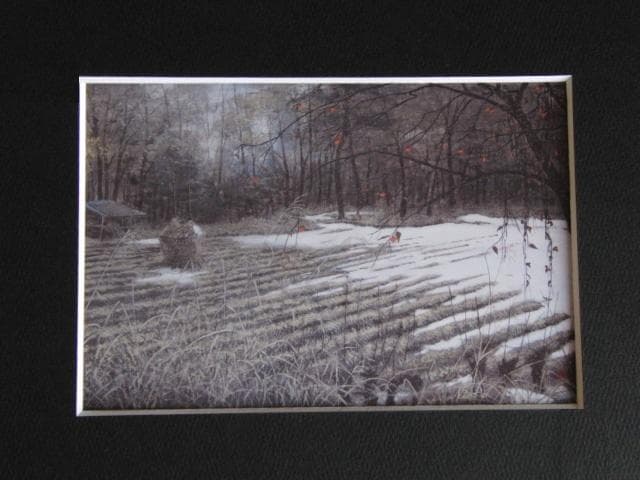 澁澤卿、【今朝の冬】、希少な額装用画集より、新品額装付、状態良好