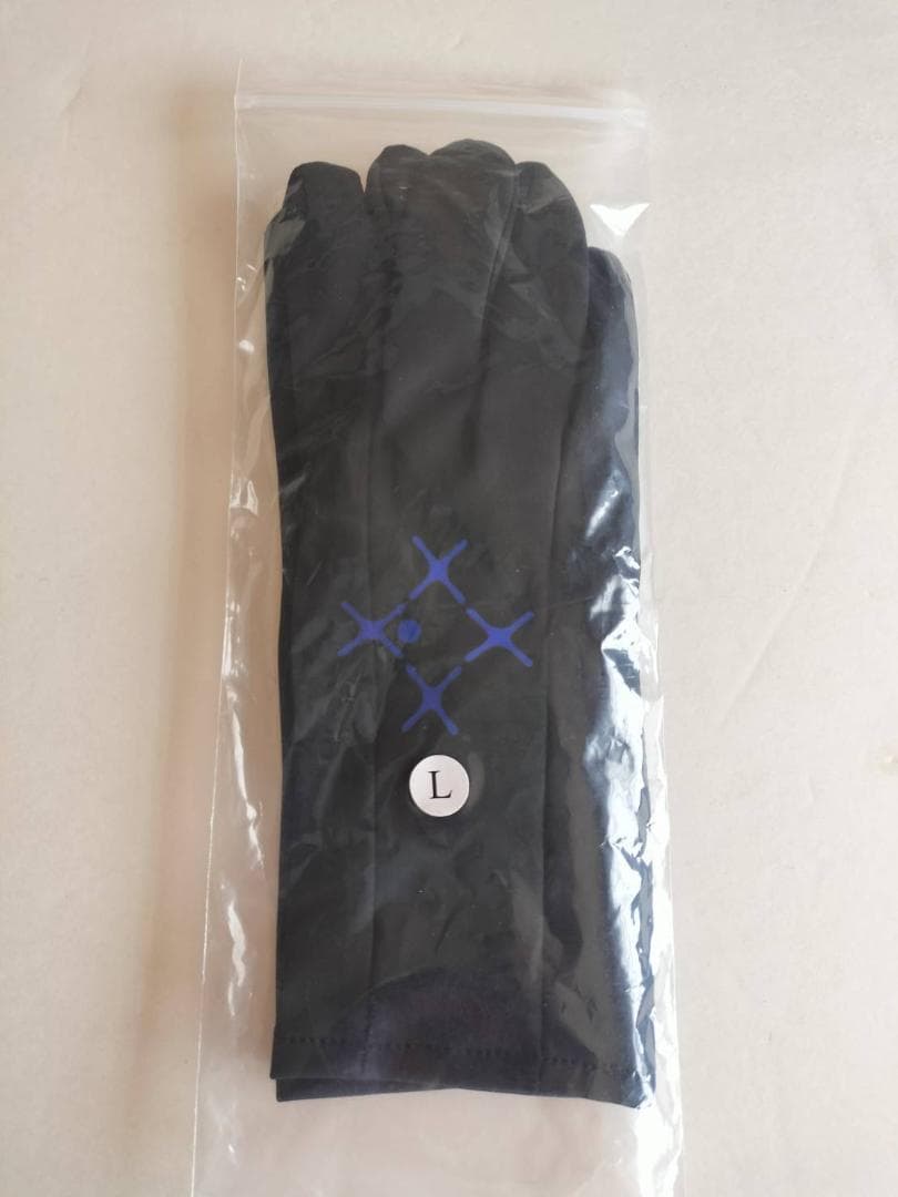 Sound Sports トレーニンググローブ L