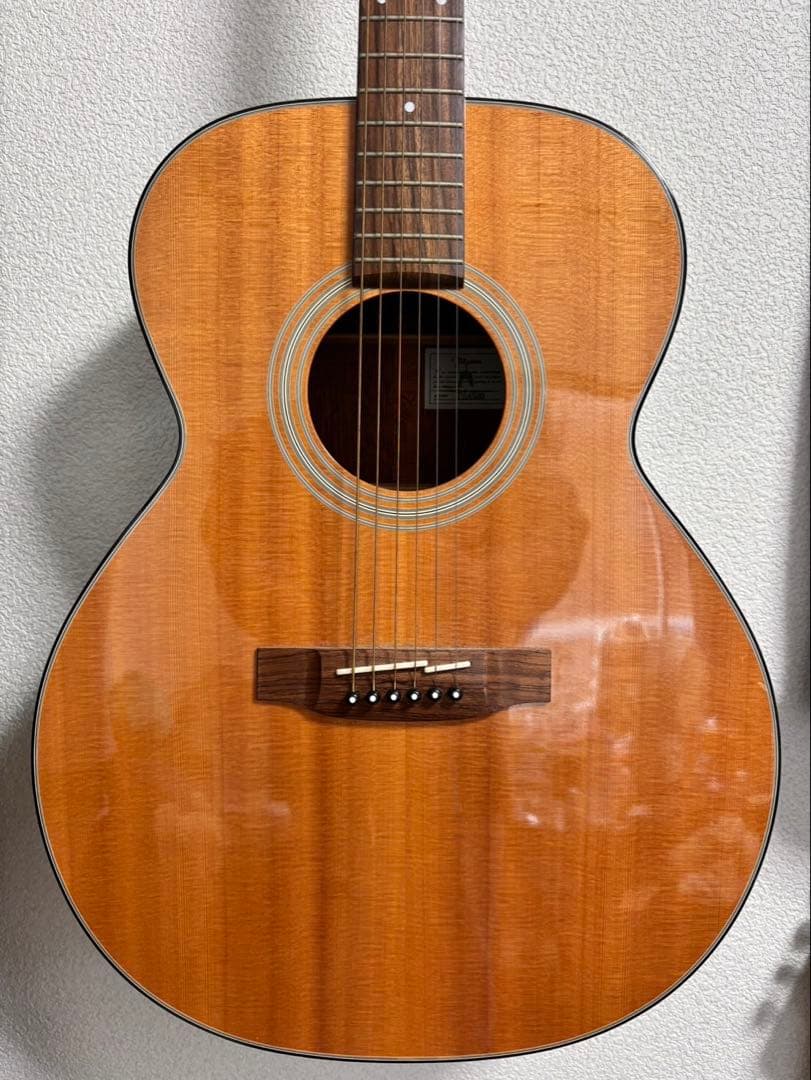 TAKAMINE TSA500 アコースティックギター