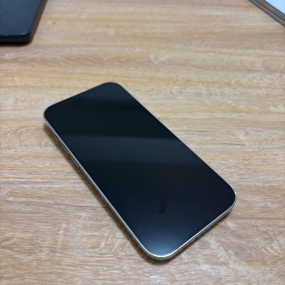 Apple iPhone 14 Pro シルバー 256GB