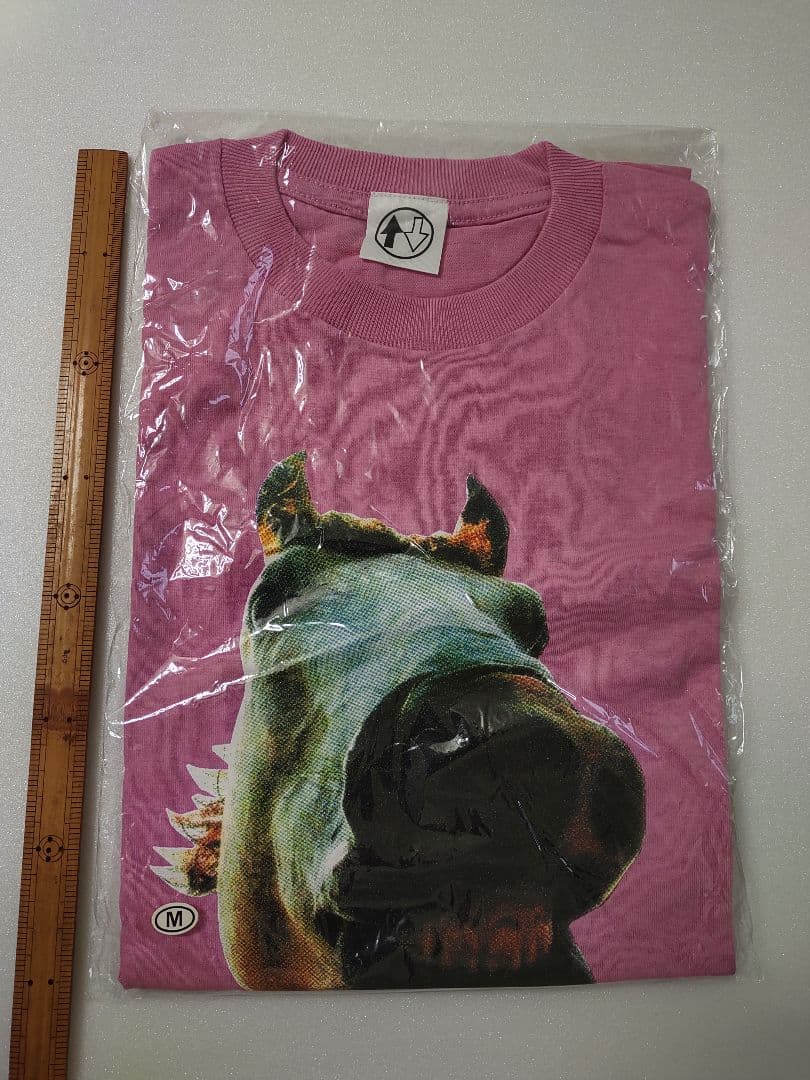 ハイロウズライブTシャツ MサイズDo the mustang