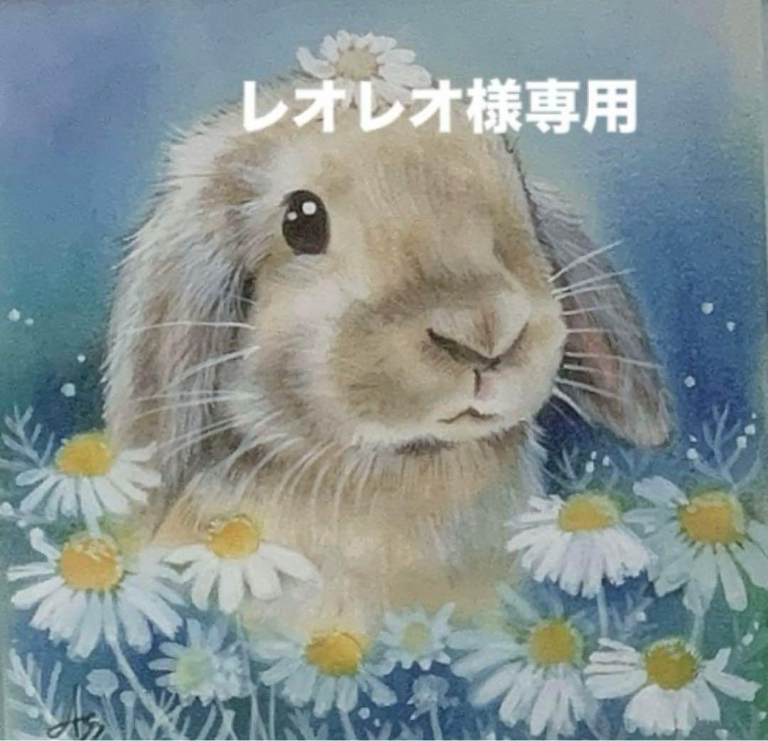 《レオレオ》うさぎのきわみ850g＆トリーツ毛玉ケア&トリーツ乳酸菌