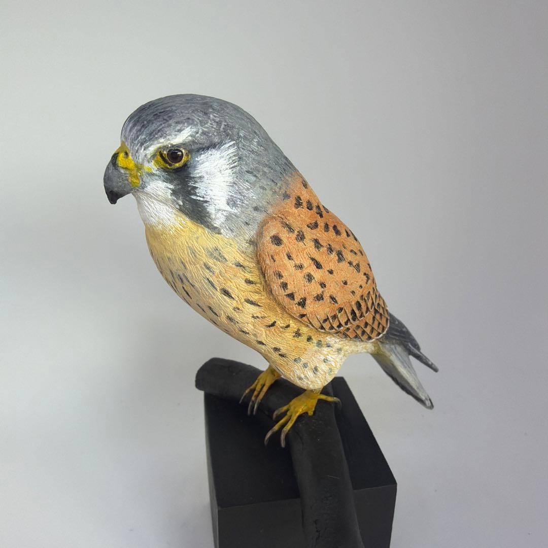 チョウゲンボウ　　木彫りの野鳥　　　野鳥彫刻　リアルバードカービング