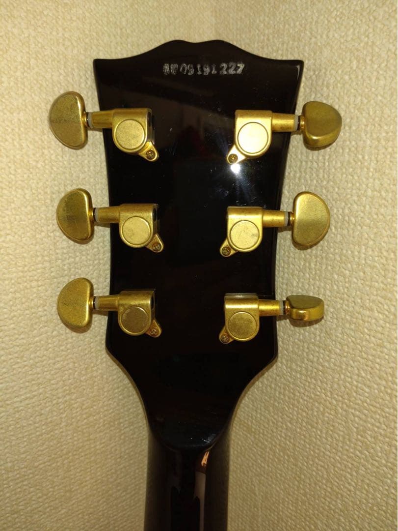 ギター grass roots dancan designed glp-ctm