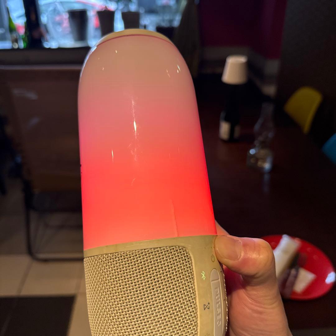 JBL pulse3 持ち運びケース付き