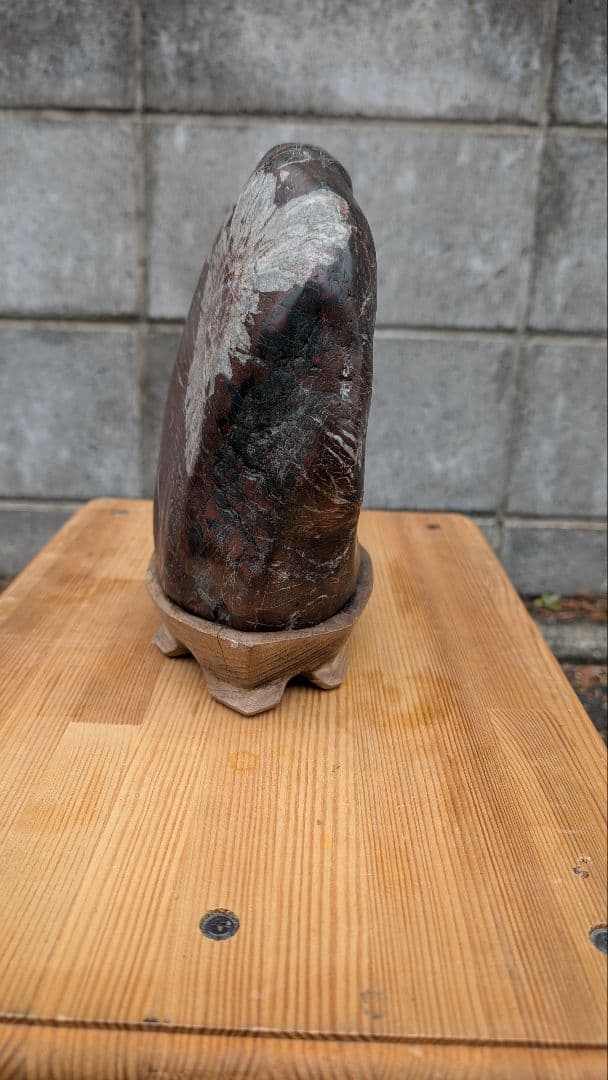 菊花石　水石　盆石　鑑賞石