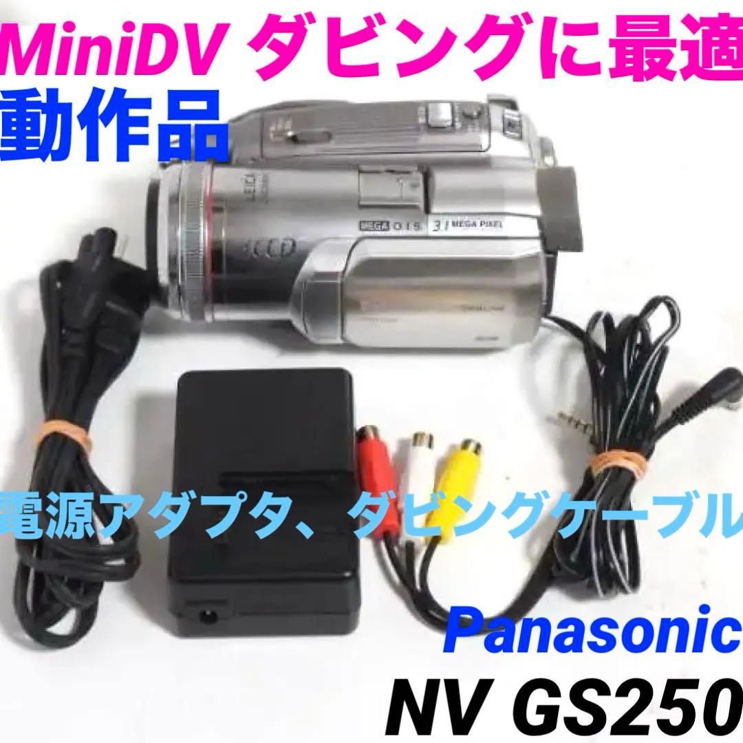 NV GS250【動作品】 Panasonic MiniDVビデオカメラ 127