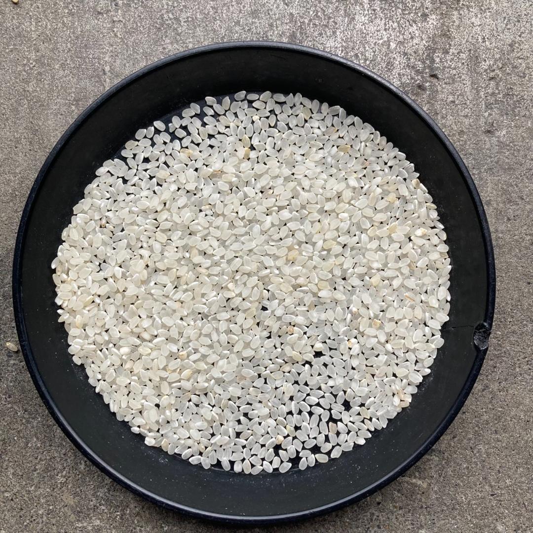 20kg 小米 鳥の餌 砕米 色彩選別機で飛ばしたお米等です