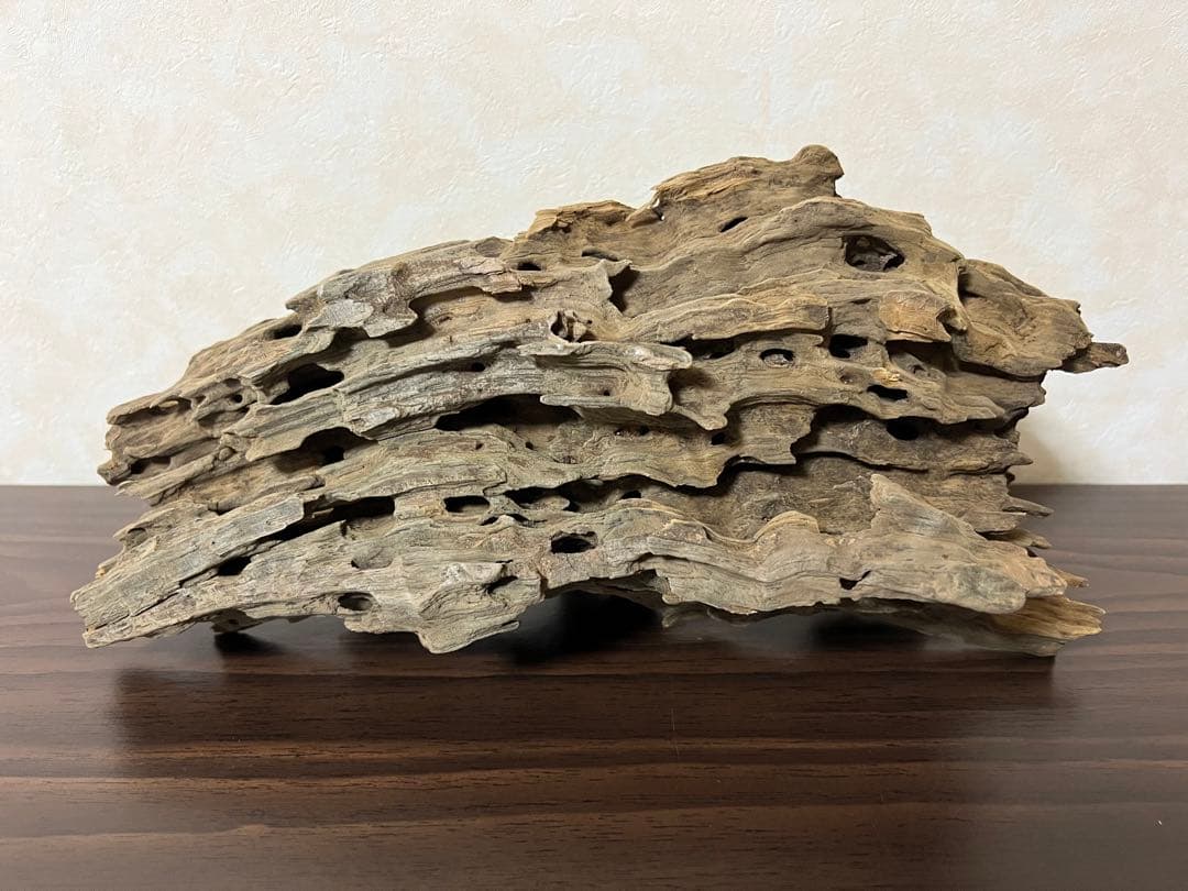 (XM-118)流木　マシンガンウッド　アクアリウム　ブランチウッド