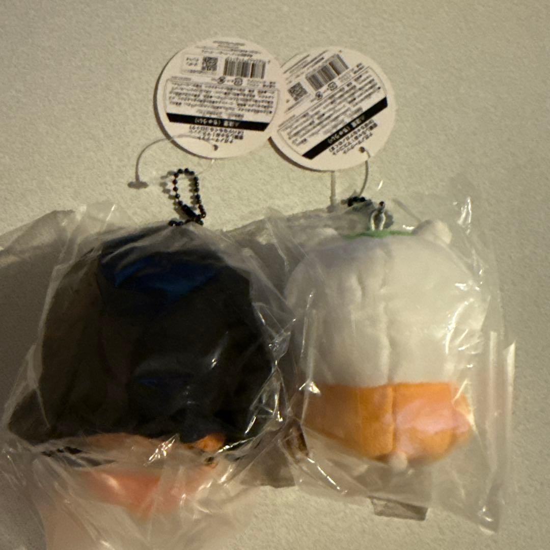 ナガノのくま　仮装しちゃお！マスコット　ハロウィンセット