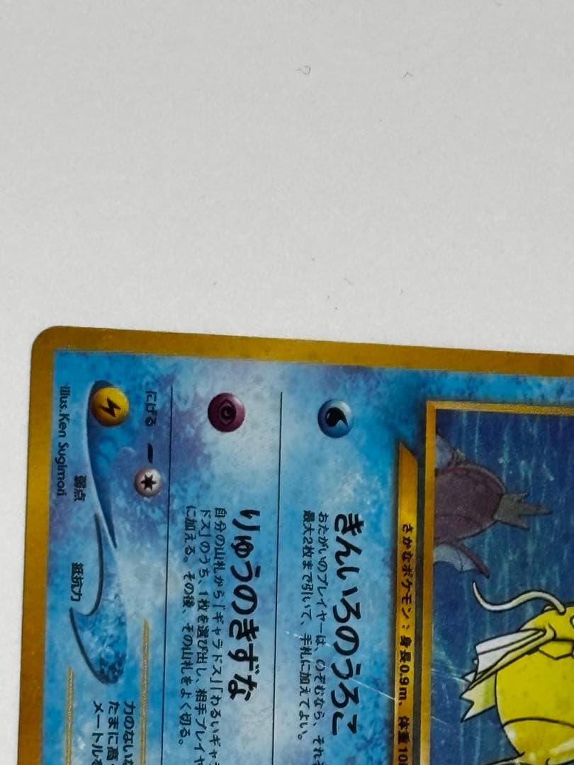 【即購入可能】ひかるコイキング めざめる伝説　旧裏